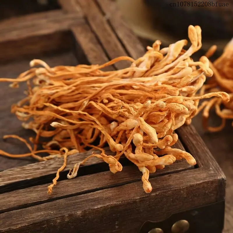 ดอกถั่งเช่าแห้ง 250 กรัม/500 ก - Dried Herbs บทวิจารณ์และราคา