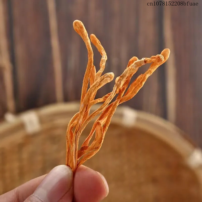 ดอกถั่งเช่าแห้ง 250 กรัม/500 ก - Dried Herbs บทวิจารณ์และราคา