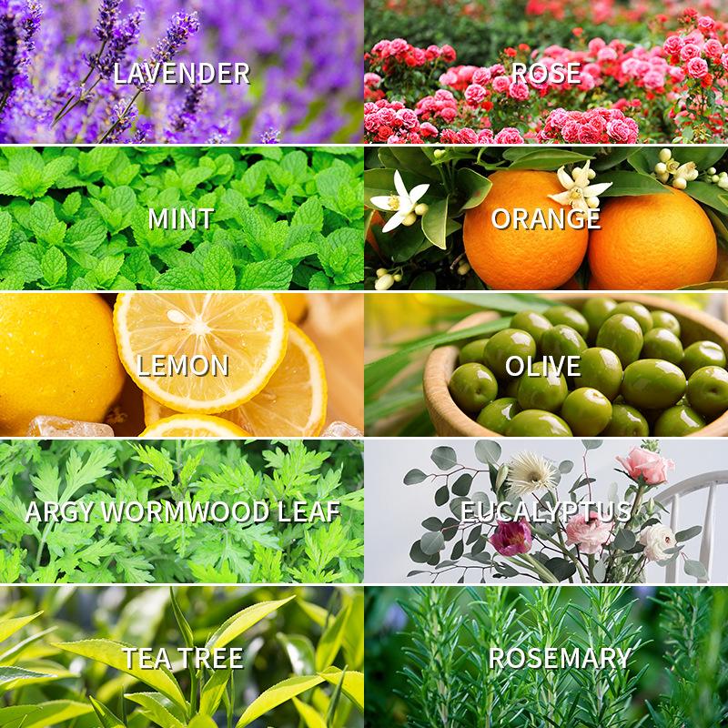 น้ำมันหอมระเหยอโรมาเธอราพี 10  - Lavender Oil บทวิจารณ์และราคา